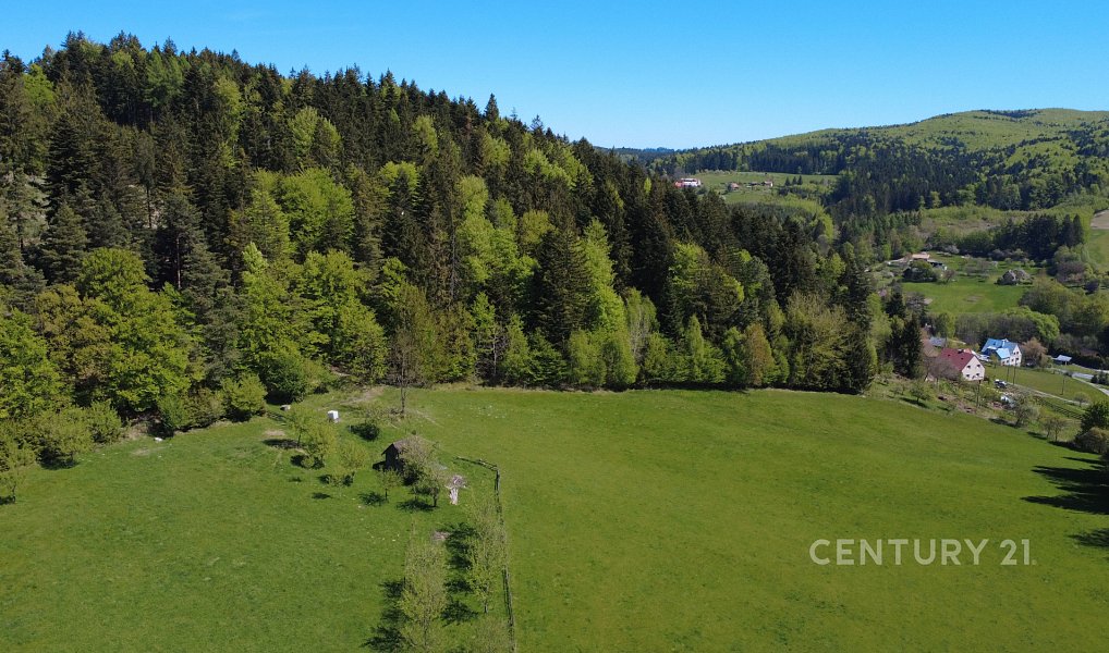 Prodej domu 131 m² s pozemkem 49 321 m², Držková – náhled fotky 23
