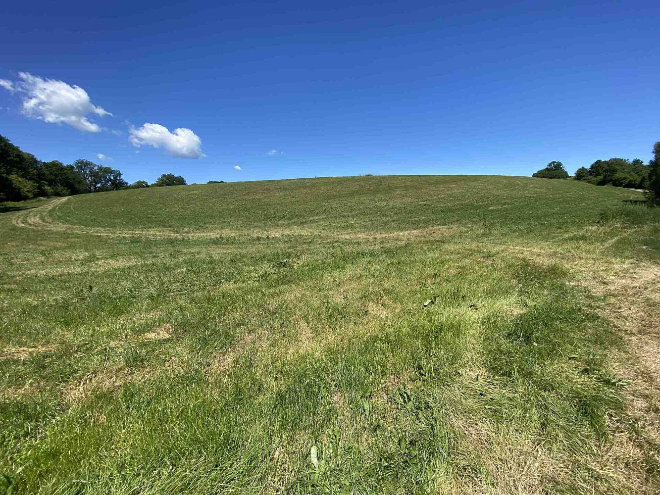 Prodej pole 41 229 m² – fotografie 3