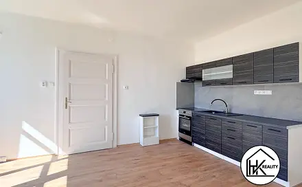 Pronájem bytu 1+1 49 m², Havířská, Teplice - Trnovany