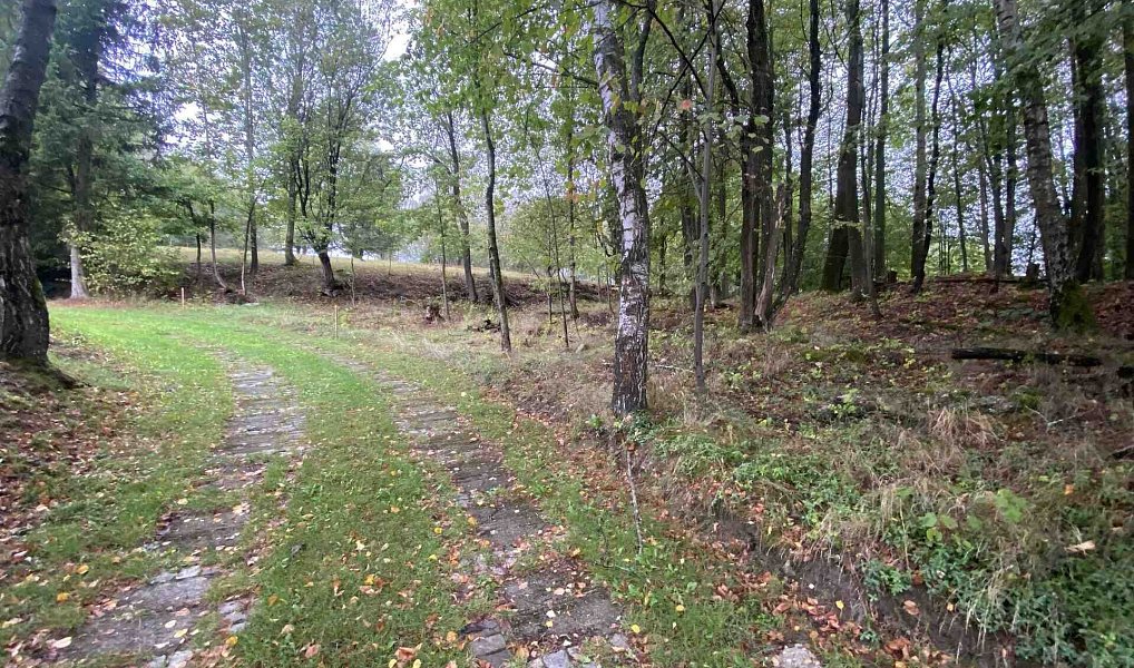 Prodej stavebního pozemku 3 849 m², Benešov nad Černou – náhled fotky 4
