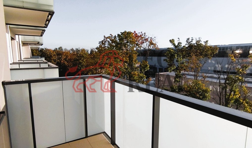 Pronájem bytu 2+kk 40 m², Praha – náhled fotky 8