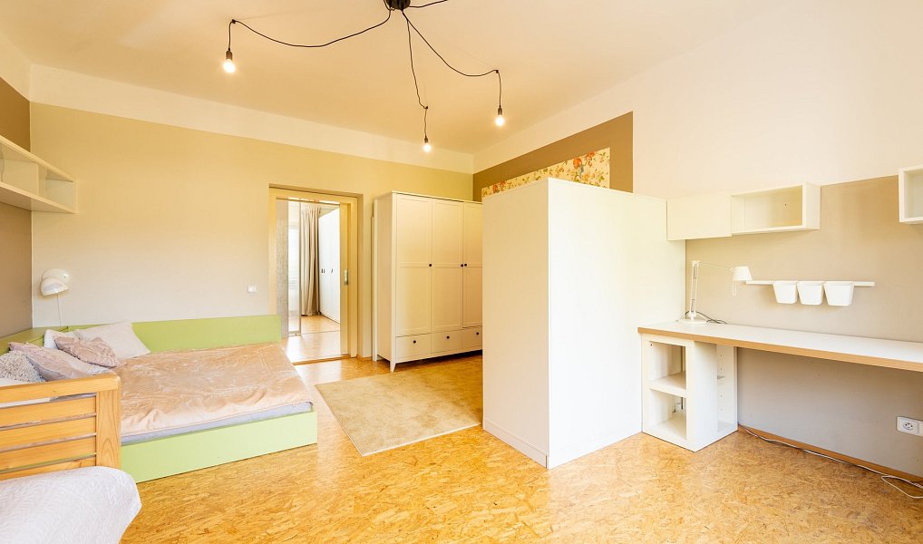 Prodej domu 220 m² s pozemkem 290 m², Plzeň – náhled fotky 11
