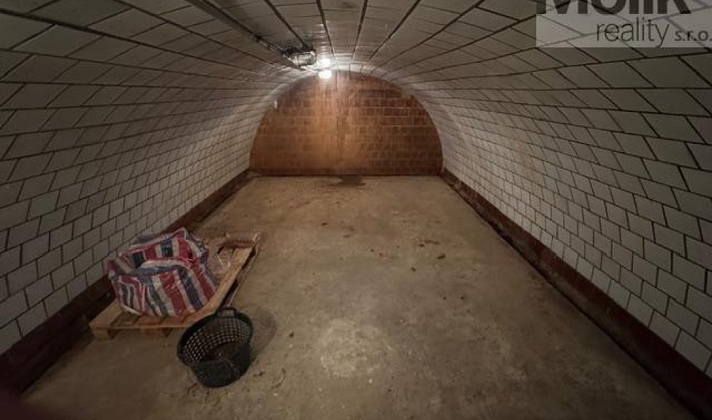 Prodej ubytovacího objektu 1 753 m², Český Jiřetín – náhled fotky 14