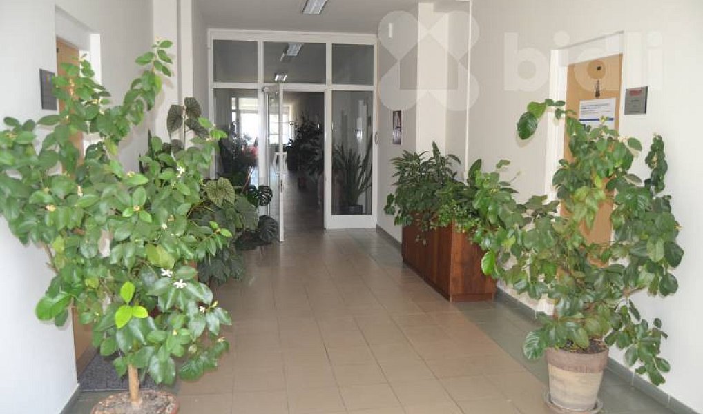 Pronájem kanceláře 34 m², Prostějov – náhled fotky 5