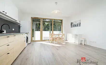 Pronájem bytu 1+kk 39 m²