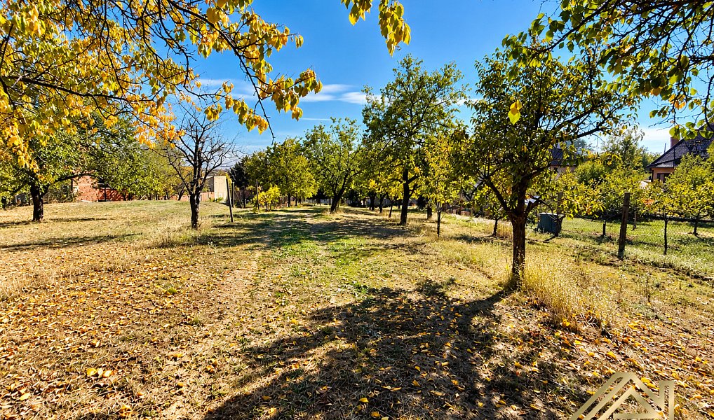 Ostatní