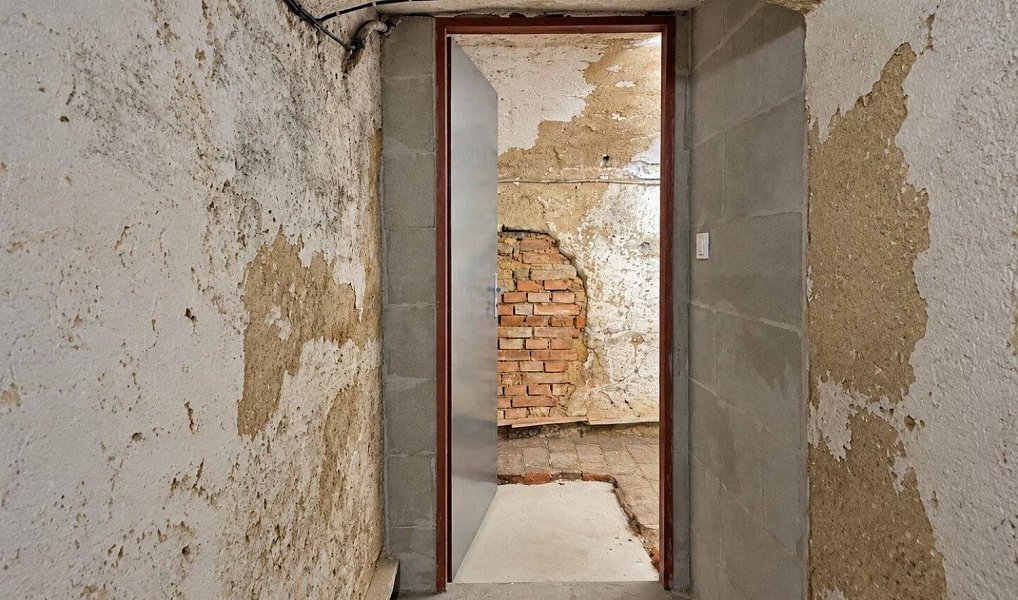 Prodej ostatní Ostatní, 135m2, Plzeň, Plzeň 2-Slovany, Východní Předměstí, Plzeň – náhled fotky 5