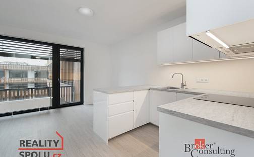 Pronájem bytu 1+kk 30 m², Kartónová, Plzeň - Východní Předměstí