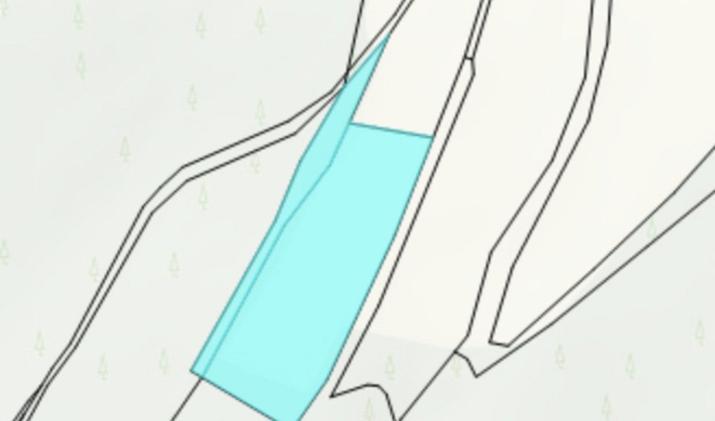 Prodej lesa 1 293 m², Jindřichov – náhled fotky 5