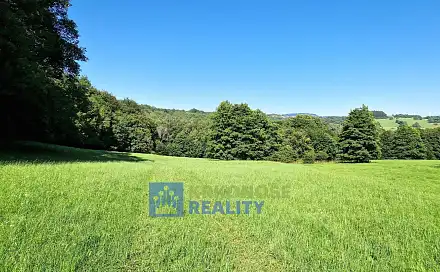 Prodej louky 68 585 m², Trutnov - Babí