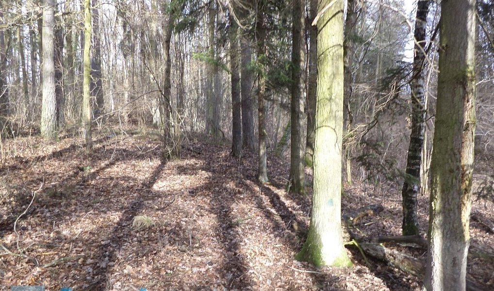 Prodej pozemku 15 643 m², Novosedly nad Nežárkou – náhled fotky 3