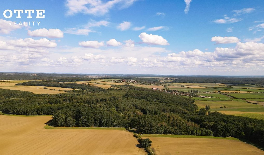 Prodej lesa 985 653 m², Žerčice – náhled fotky 13