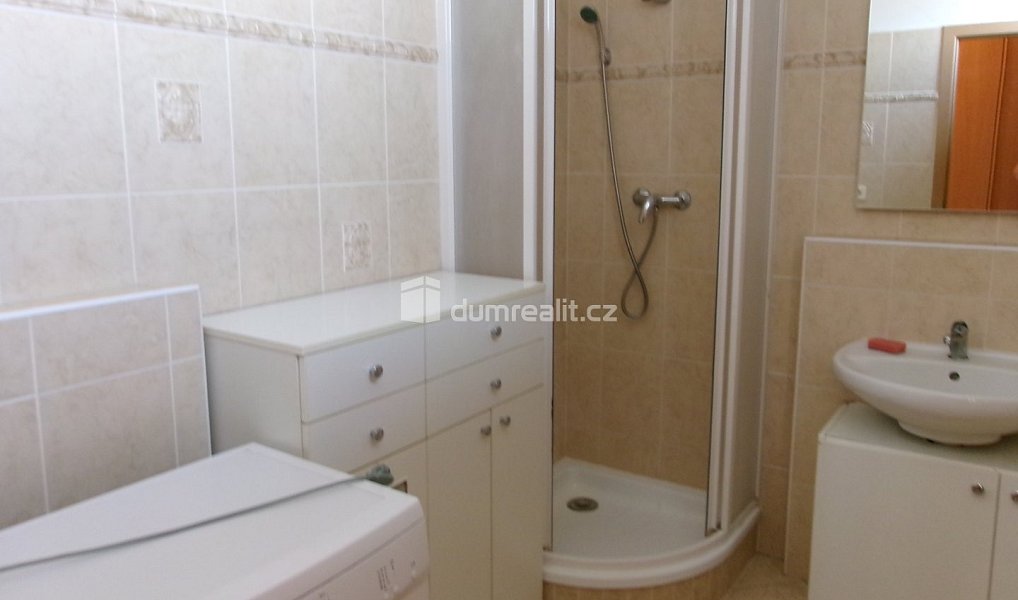 Pronájem bytu 1+kk 39 m², Mladá Boleslav – náhled fotky 13