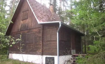 Dražba chaty/chalupy 49 m² s pozemkem 500 m², Mladošovice, okres České Budějovice
