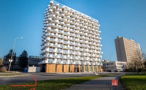 Prodej bytu 5+kk 231 m², U Borského parku, Plzeň - Jižní Předměstí