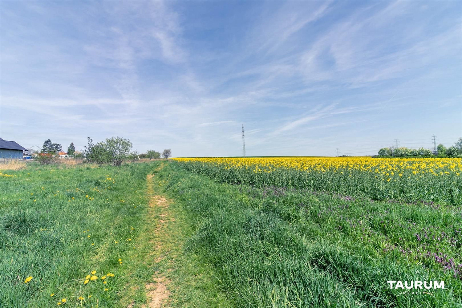 Prodej stavebního pozemku 7 355 m² – fotografie 5