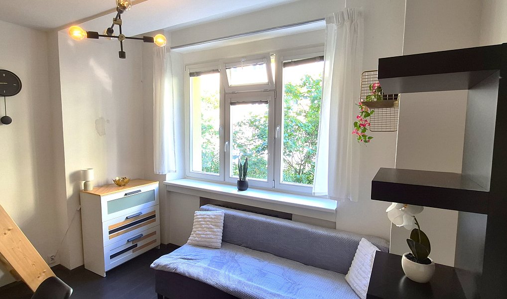Prodej bytu 1+kk 20 m², Praha – náhled fotky 11