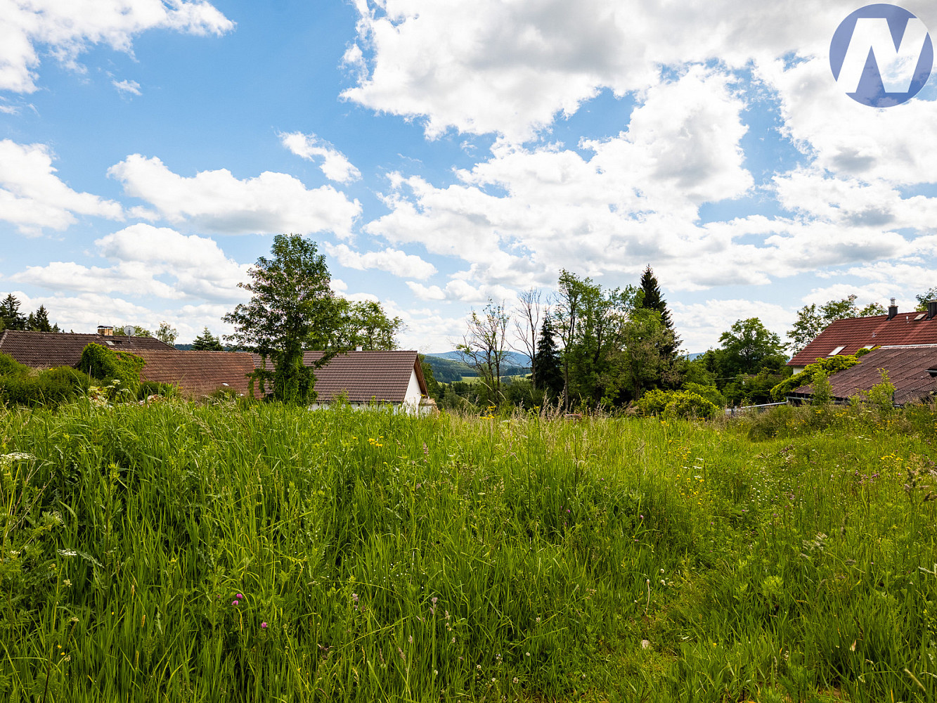 Prodej stavebního pozemku 2 650 m² – pohled 6