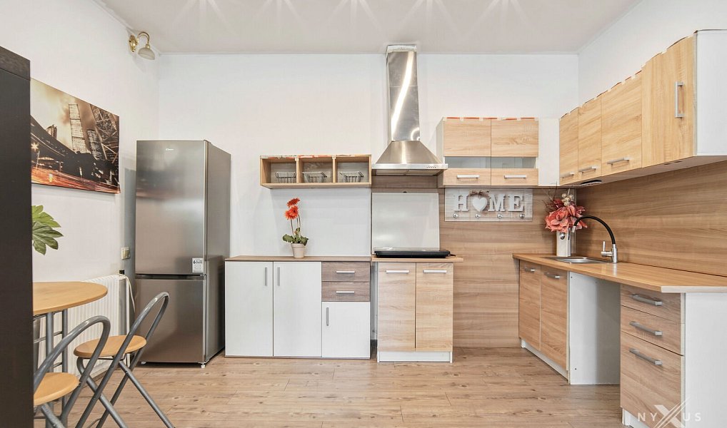 Pronájem bytu 1+kk 50 m², Strančice – náhled fotky 4