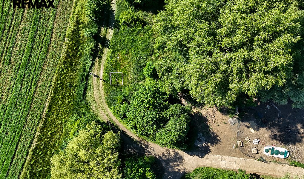 Prodej lesa 5 841 m², Skršín – náhled fotky 7