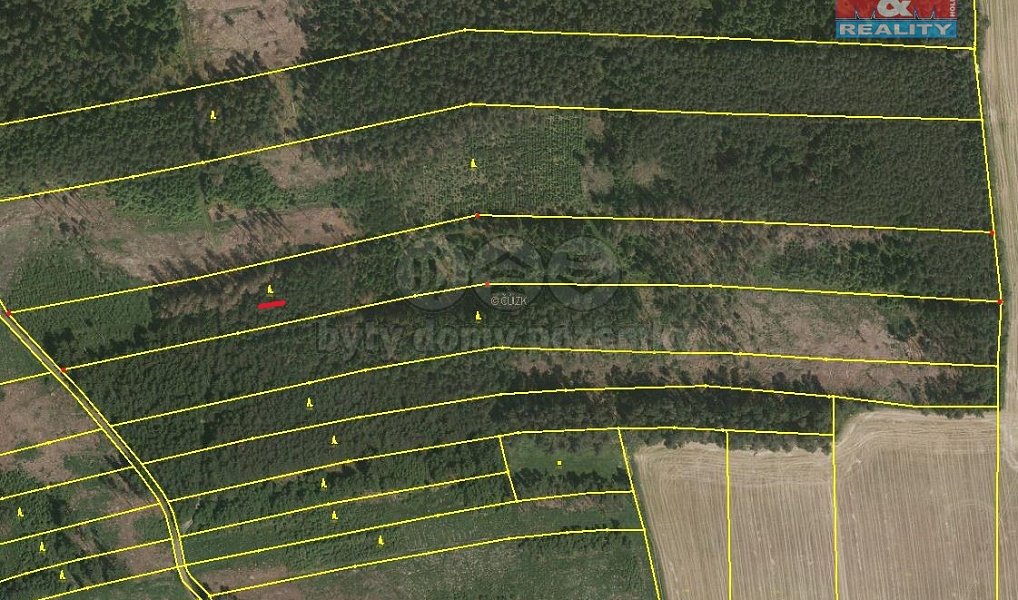 Prodej lesa 30 934 m², Ratibořské Hory – náhled fotky 4