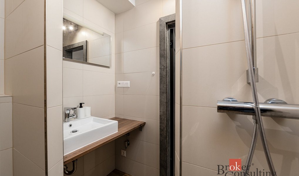 Prodej bytu 2+kk 56 m², Plzeň – náhled fotky 7