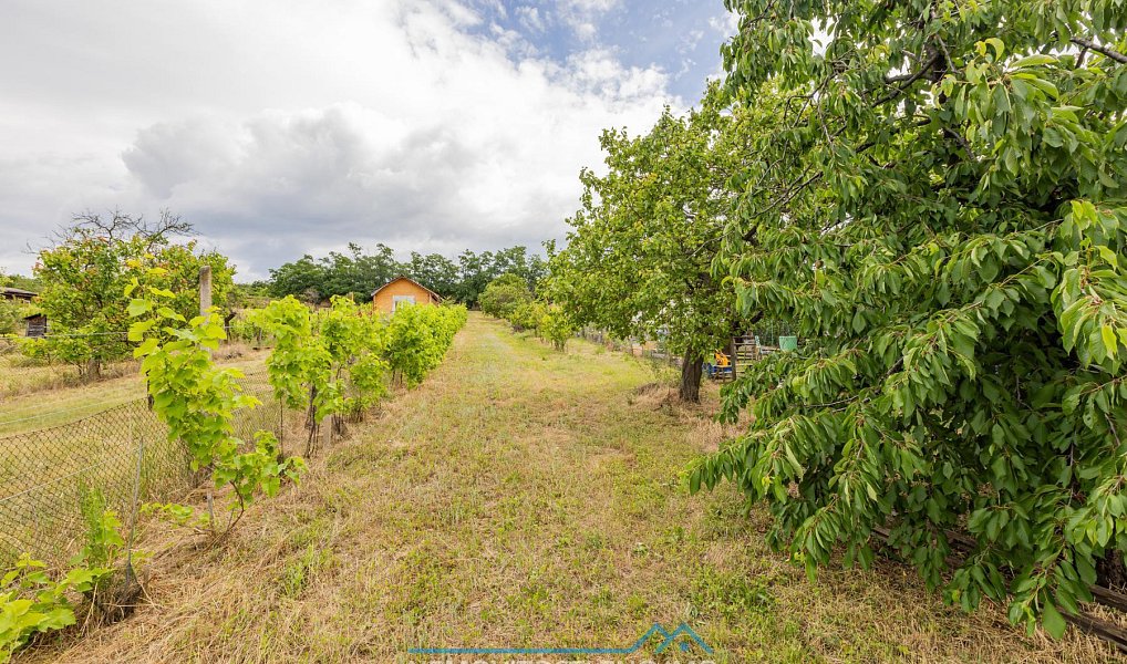 Prodej zahrady 1 078 m², Dobšice – náhled fotky 4