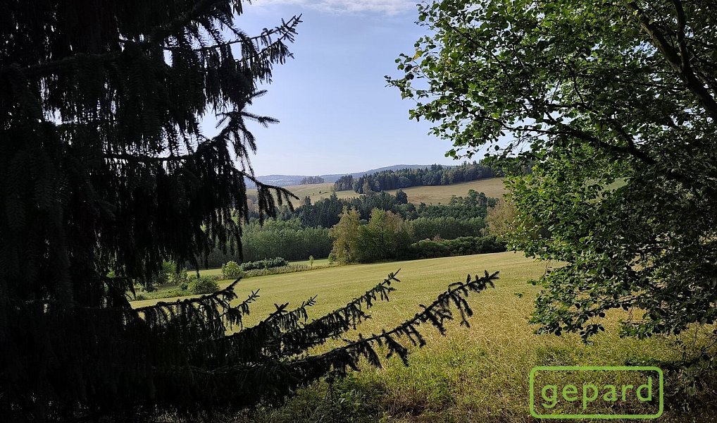 Prodej stavebního pozemku 14 307 m², Světlík – náhled fotky 9