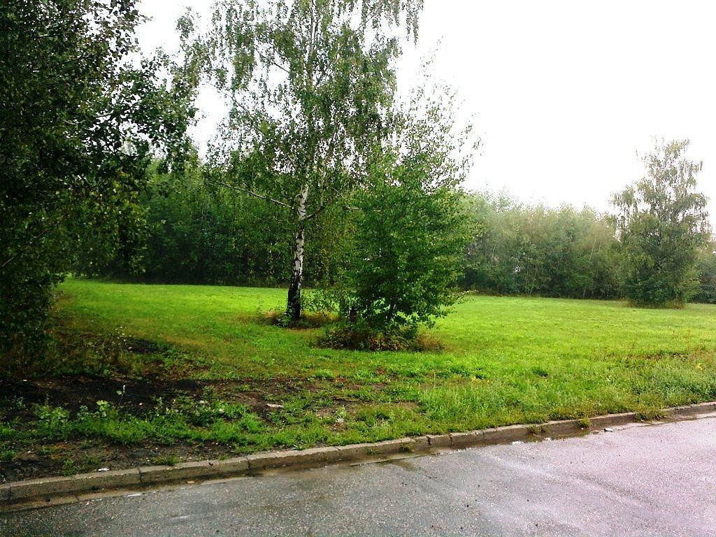 Prodej komerčního pozemku 6 000 m² – fotografie 2