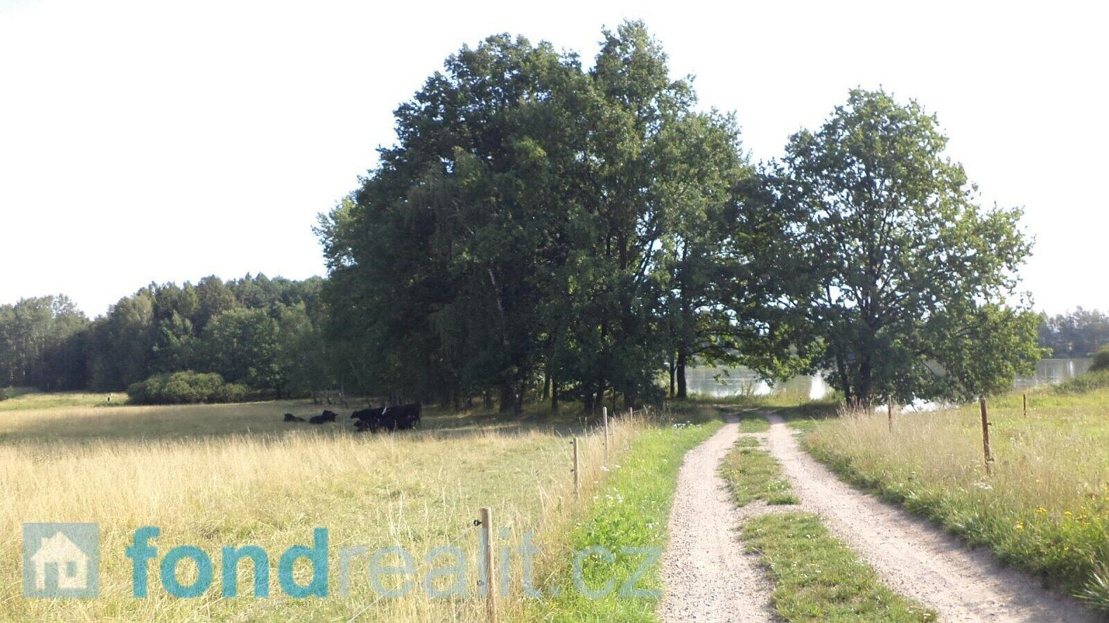 Prodej pozemku 3 240 m² – fotografie 2