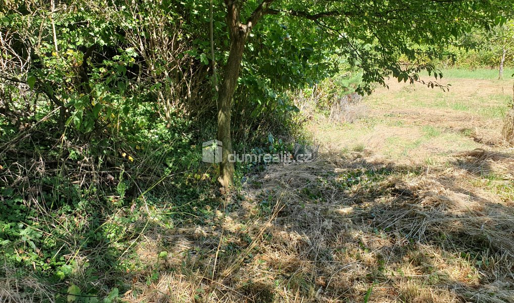 Prodej zahrady 1 141 m², Hranice – náhled fotky 12