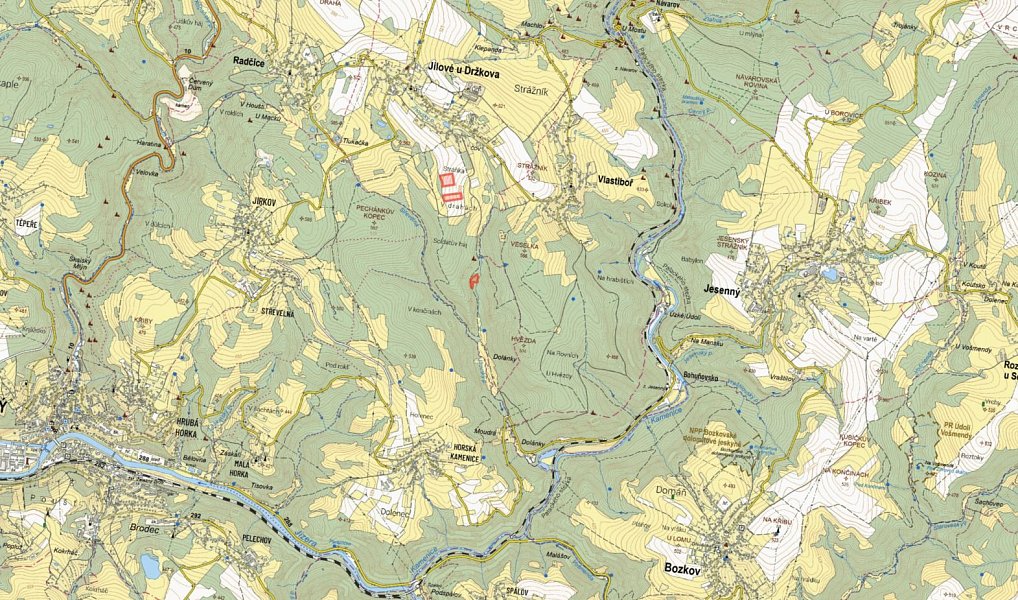 Prodej pole 19 916 m², Jílové u Držkova – náhled fotky 2