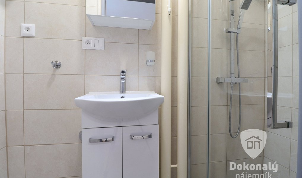 Pronájem bytu 1+kk 22 m², Praha – náhled fotky 3