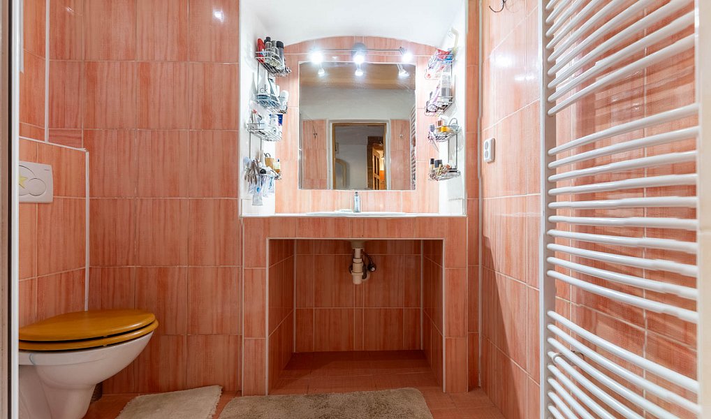 Prodej domu 612 m² s pozemkem 4 214 m², Fryšták – náhled fotky 25