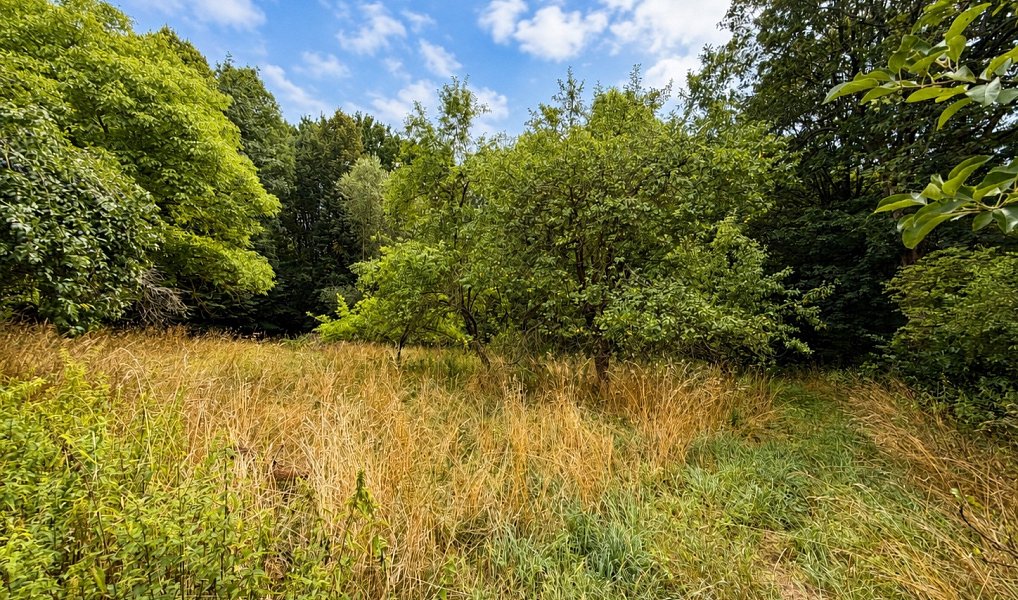Prodej domu 75 m² s pozemkem 3 420 m², Koberovice – náhled fotky 21