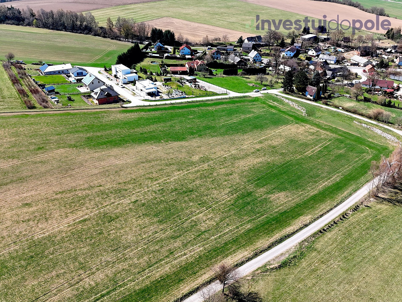 Prodej stavebního pozemku 10 000 m² – fotografie 5