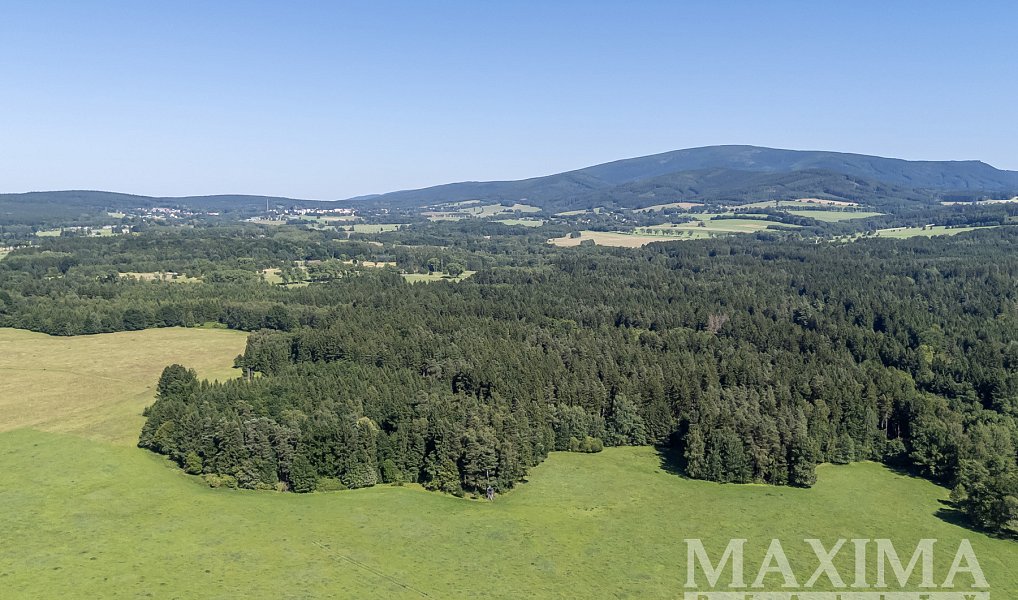 Prodej pozemku 6 397 m², Krásný Les – náhled fotky 5
