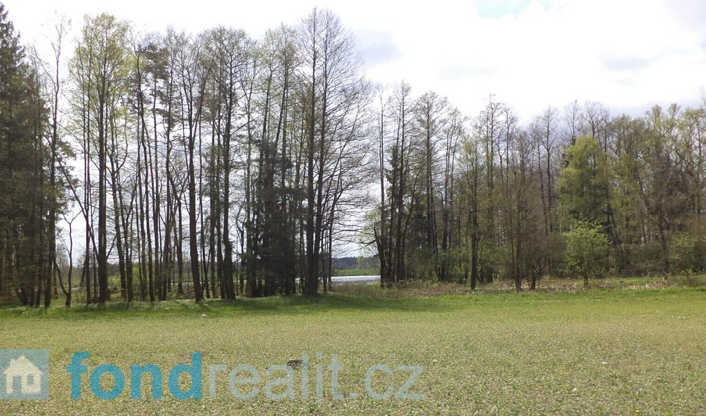 Prodej pozemku 6 528 m², Stráž nad Nežárkou – náhled fotky 2