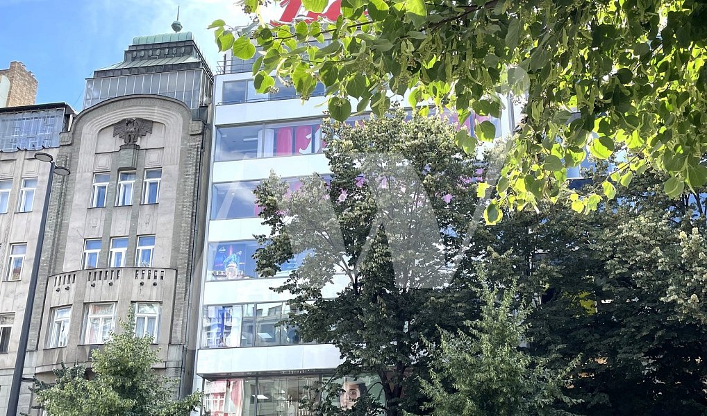 Pronájem obchodních prostor 306 m², Praha – náhled fotky 10