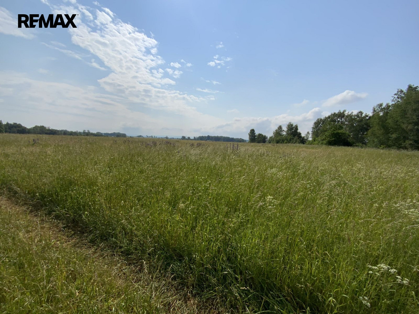 Prodej louky 107 498 m² – fotografie 2