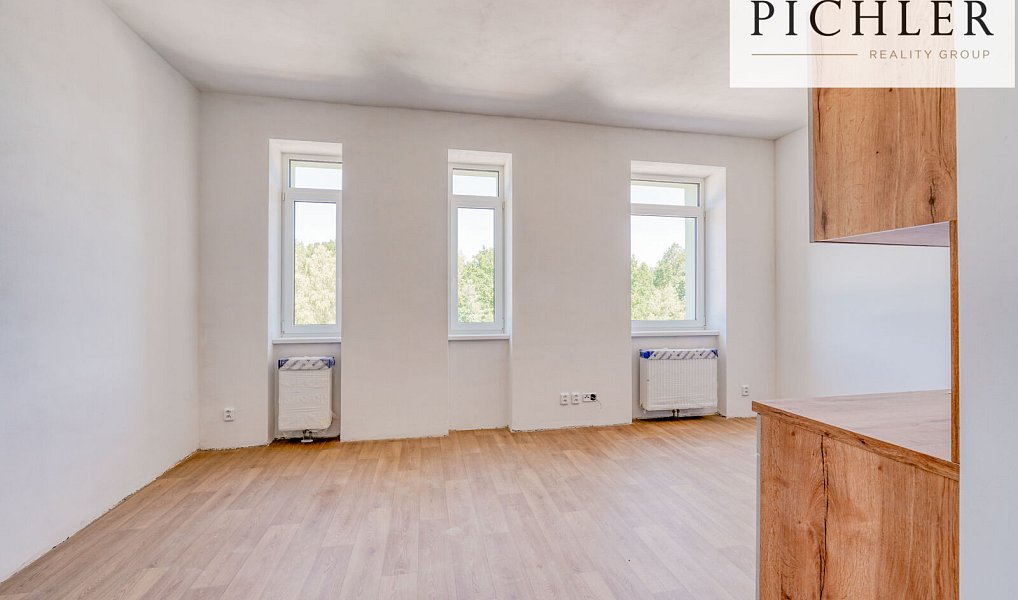 Pronájem bytu 1+kk 35 m², Horní Bříza – náhled fotky 3