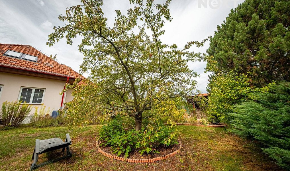 Prodej domu 160 m² s pozemkem 917 m², Horní Jelení – náhled fotky 30