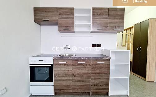 Pronájem bytu 2+kk 42 m², Železná, Ústí nad Labem - Neštěmice