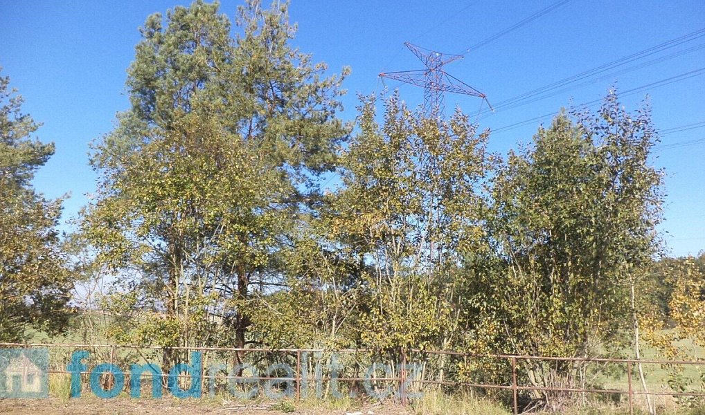 Prodej pozemku 17 515 m², Dříteň – náhled fotky 9