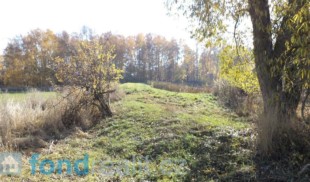 Prodej pozemku 1 225 m², Borovná – náhled fotky 2