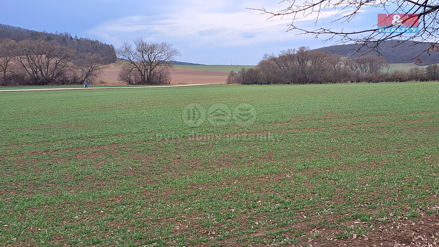 Prodej pole 4 185 m² — photo 2