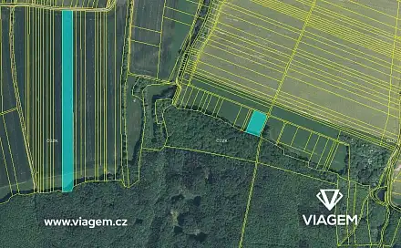 Prodej pole 19 282 m², Nedachlebice, okres Uherské Hradiště