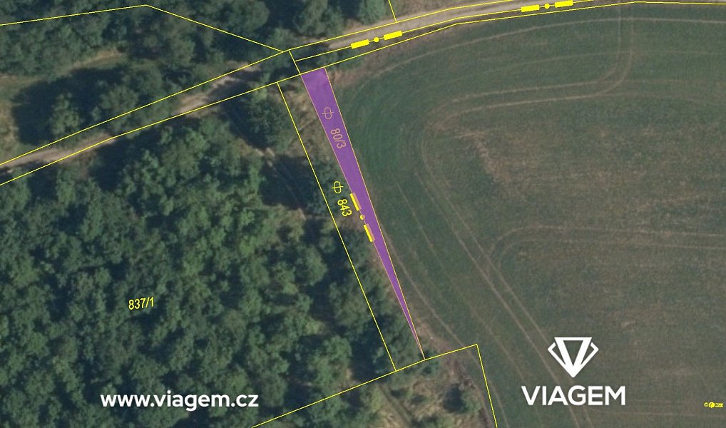 Prodej pole 162 m², Máslovice – náhled fotky 4