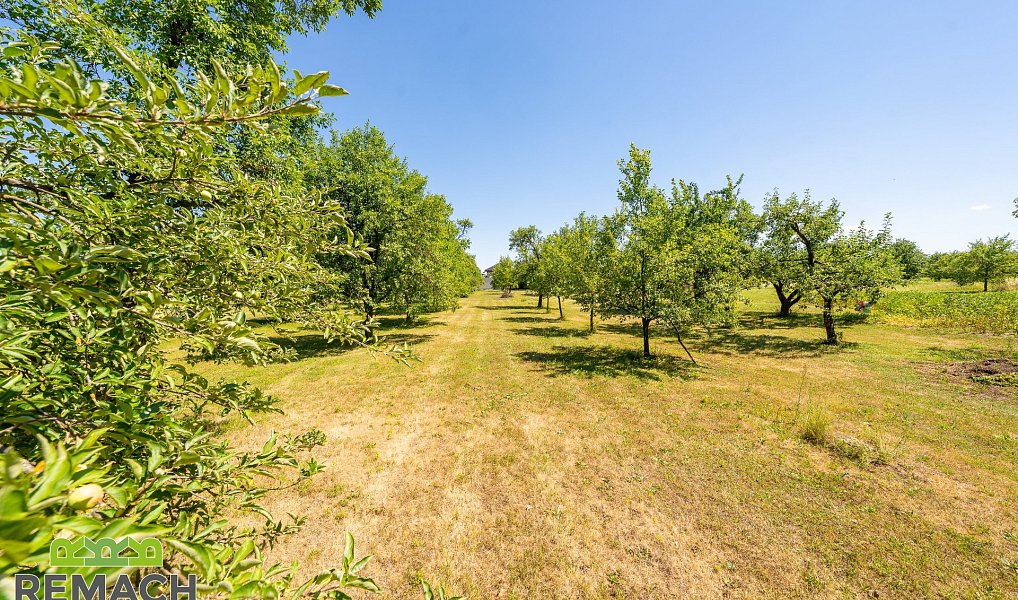 Prodej domu 249 m² s pozemkem 4 452 m², Babice – náhled fotky 19