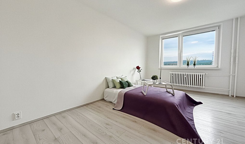 Prodej bytu 1+1 48 m², Brno – náhled fotky 2